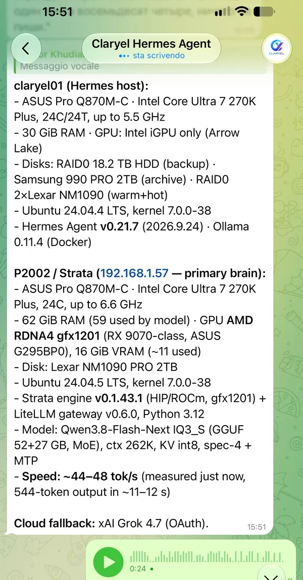 Screenshot: a practical task. The system's answer to a technical voice question, with the real hardware, disks, AI model and speed of our machines.